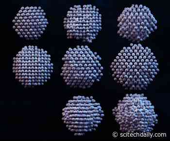 Resolving the 3D Structure of Individual Nanoparticles With Atomic-Level Resolution