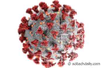 Coronavirus Fight: Scientists Identify COVID-19 Drug That “Kills” the Virus Within 48 Hours