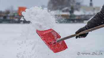 Snowfall, freezing rain advisory issued for large part of Sask.