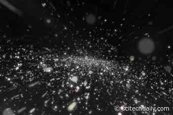 Researchers Have Found a Way to Control Bacteria to Transport Microscopic Cargo