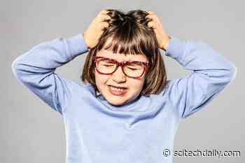 Possible Coronavirus Treatment? Head Lice Drug Ivermectin Is Being Tested