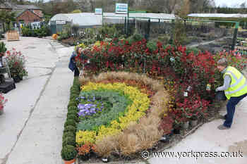 Johnsons of Whixley nursery creates rainbow of hope with plants