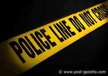 Man shot in stomach in McKees Rocks during argument; police recover two guns