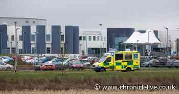 Breakdown of latest coronavirus deaths in the North East after more than 400 die