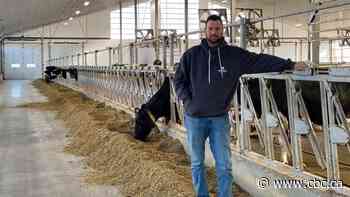 Dairy farmers dumping milk as demand drops