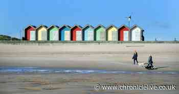 What the Government must consider before ending UK coronavirus lockdown