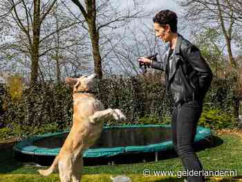 Paulien werkt op de corona-ic: ‘Voor het eerst droom ik over mijn werk’