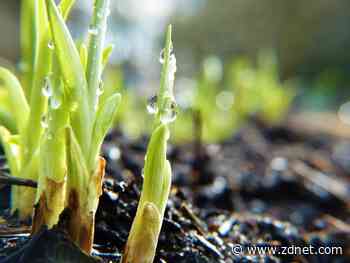 Gainly reinvents corporate social responsibility to fight global issues