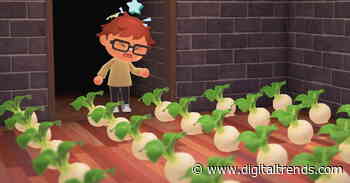 How to make money in Animal Crossing: New Horizons