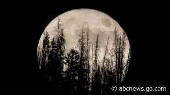 Catch this week's supermoon, biggest and brightest of year