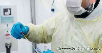 Bristol now has more than 200 confirmed coroavirus cases