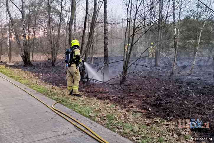 Treinverkeer tussen Ede en Arnhem gestremd vanwege brand langs spoor bij Wolfheze