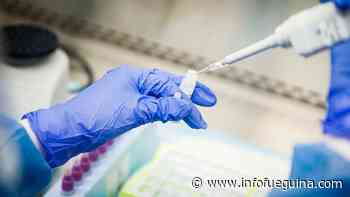 Coronavirus: murió un hombre de 81 años en Buenos Aires - Infofueguina