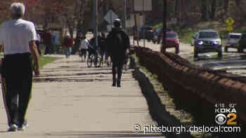 Coronavirus In Pittsburgh: Pittsburgh Parks Conservancy Says City Park Usage Up 83 Percent