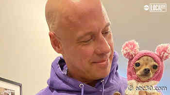 Former Body Builder Opens Sanctuary For Neglected Chihuahuas