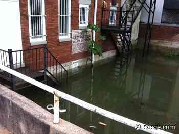 Living on the Edge: Rising above the floodwaters and staying afloat during the pandemic