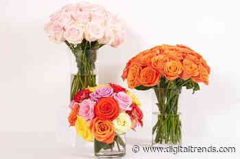 The best same-day flower-delivery sites