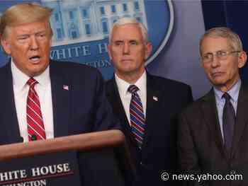 Half of the US hydroxychloroquine supply — the drug Trump touts as a possible coronavirus treatment — has been abruptly cut off