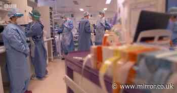 New report shows grim survival rate for coronavirus patients in intensive care