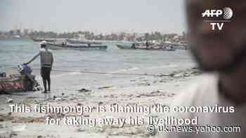 Coronavirus: a fish seller&#39;s struggle for survival in Senegal