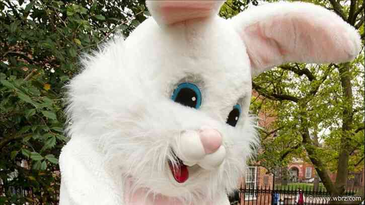Local businesses offering drive-thru Easter Bunny photos
