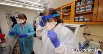 Saskatchewan Health Authority addresses PPE concerns during pandemic: ‘We’re not rationing’
