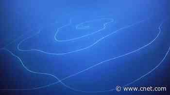 See a giant siphonophore, a bizarre ocean creature that looks like silly string     - CNET