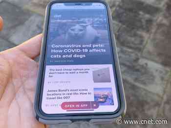 The OtterBox antimicrobial screen protector is now available     - CNET