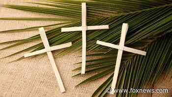 Rhode Island's top Catholic nixes drive-thru Palm Sunday palm distribution over coronavirus - Fox News