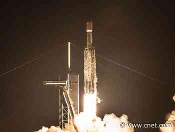 Six more SpaceX employees test positive for coronavirus, report says     - CNET