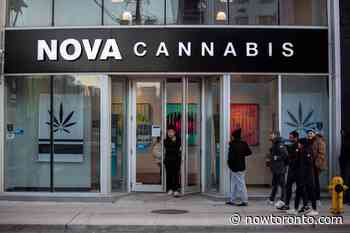 John Tory asks province to ban evictions for small businesses; Toronto has 1026 cases of COVID-19 - NOW Magazine