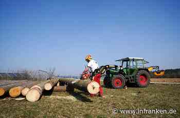 Kulmbacher Waldbesitzer greifen trotz Corona-Krise zur Kettensäge