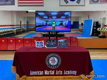 Naperville Martial Arts School Offers Free Classes Online - Naperville, IL Patch