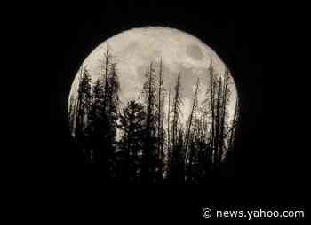 Catch this week's supermoon, biggest and brightest of year
