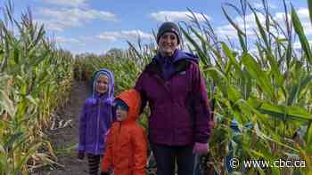 A 'real balancing act:' Ont., P.E.I. public schools kick off home learning amid COVID-19