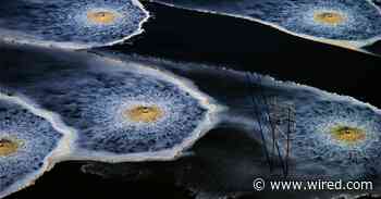 One Way to Potentially Track Covid-19? Sewage Surveillance