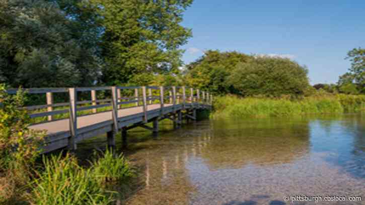 Pa. Trout Fishing Season Opens Despite Coronavirus Outbreak