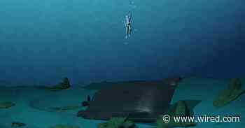 How to Escape From a Sunken Submarine