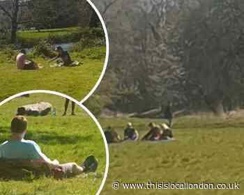 Residents slammed for sunbathing in Merton Parks