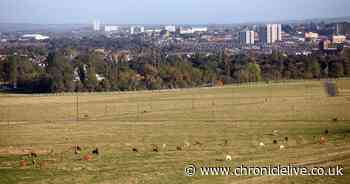 Newcastle parks 'extremely quiet' as Geordies obey lockdown