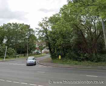 Cyclist in her 20s dies in Worcester Park crash