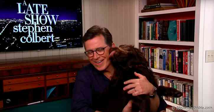 'Two bongs away': Stephen Colbert localises coronavirus distancing guidelines for U.S. states