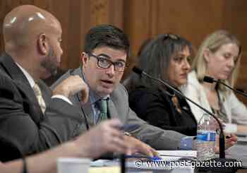 City Council meetings to now be 'pre-recorded and replayed' as chambers remain closed