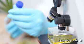 Coronavirus: Western University launches $1-million research fund