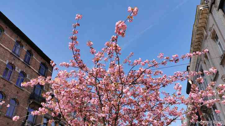 Was vom Tage übrig blieb: Twitch-Trecker und Trojaner-Tadel