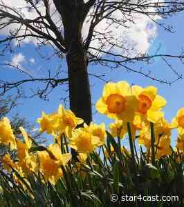 William Wordsworth –  nature was his muse