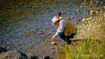 B.C. band applies to Supreme Court of Canada over Trans Mountain expansion