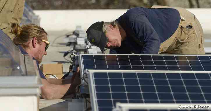 Oil companies are collapsing, but wind and solar energy keep growing