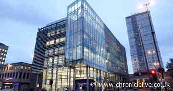 How Newcastle libraries can help you beat lockdown boredom