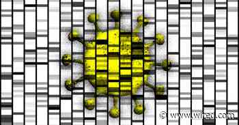 Why Does Covid-19 Make Some People So Sick? Ask Their DNA